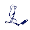 Halter & Lead