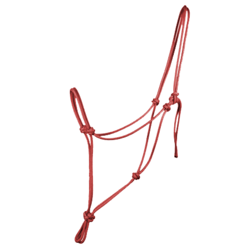 Rope Halters