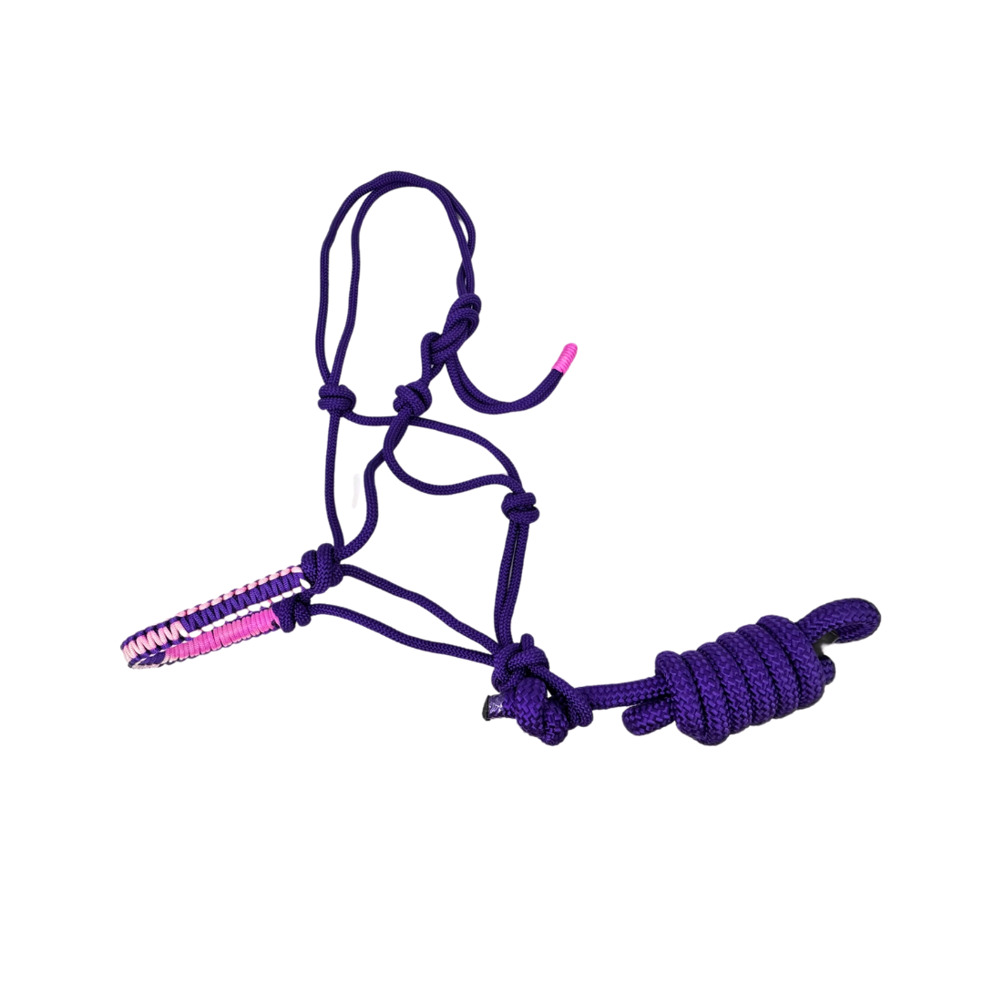 Halter & Lead