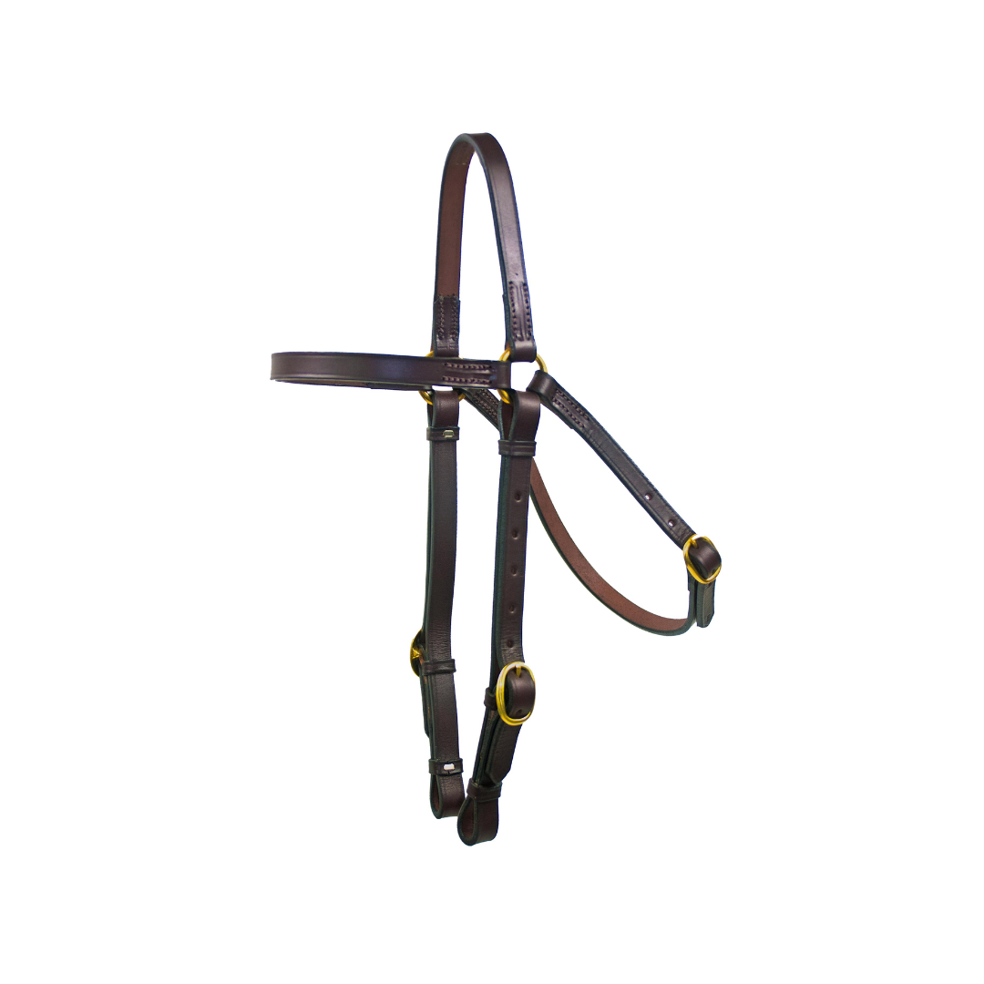 Barcoo Leather Bridle