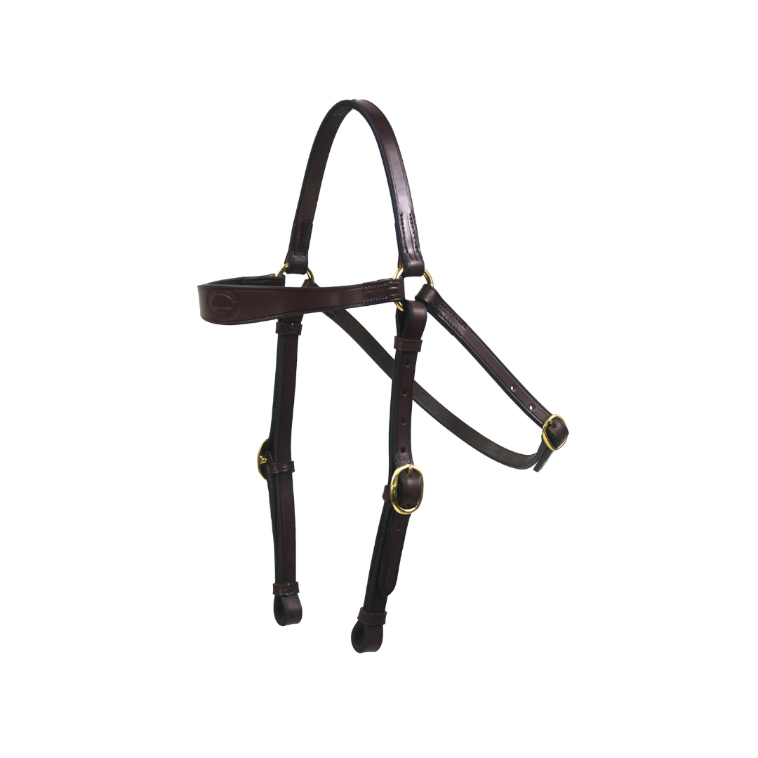 Shaped Barcoo Leather Bridle