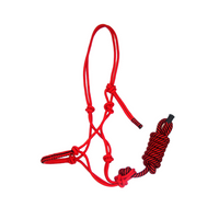 Halter & Lead