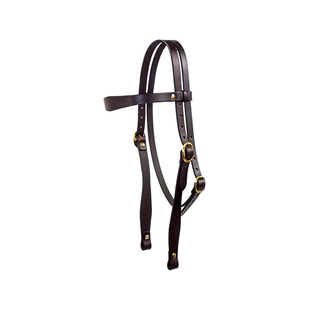 Campdraft Bridle
